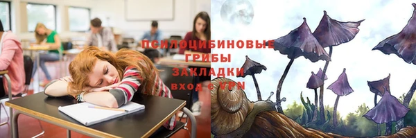 мет Галич