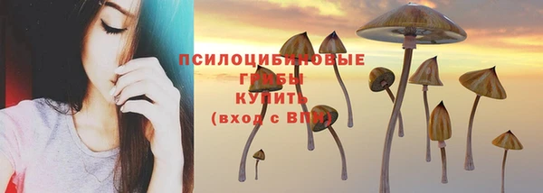 мяу мяу мука Новодвинск