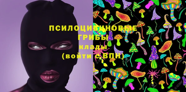 мяу мяу мука Новодвинск